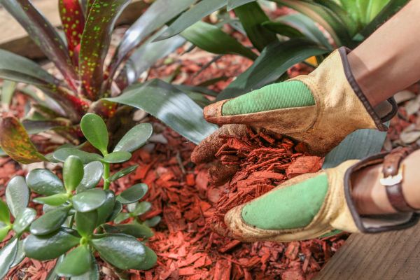 Residential Mulching in Eau Claire